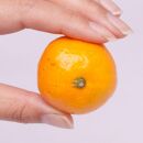 ＜11月より発送＞&nbsp;厳選&nbsp;小玉な&nbsp;有田みかん&nbsp;3.5kg+105g（傷み補償分）&nbsp;光センサー選果&nbsp;［IKE187］