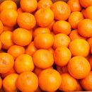 ＜11月より発送＞&nbsp;厳選&nbsp;超熟&nbsp;有田みかん&nbsp;3kg+90g（傷み補償分）［IKE175］