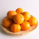 ＜11月より発送＞&nbsp;厳選&nbsp;超熟&nbsp;有田みかん&nbsp;3kg+90g（傷み補償分）［IKE175］