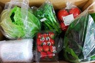 長崎県産　季節の野菜BOX【産直松吉】【ポイント交換専用】
