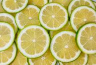 【レモン島から贈る】安心の国産グリーンレモン1kg 2024年10月下旬より発送予定 | 産地直送 送料無料 フルーツ 防腐剤不使用 ノーワックス もりの農園