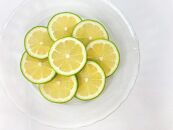 レモン島から贈る安心の国産グリーンレモン約3kg 10月中旬～発送予定 | 産地直送 送料無料 フルーツ 防腐剤不使用 ノーワックス もりの農園