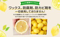 レモン島から贈る安心の国産レモン1kg 産地直送  フルーツ ワックス 防腐剤、防かび剤不使用＜1月15日〜発送予定 もりの農園＞