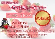 『近江富士いちご』選りすぐり！華の美味しいイチゴ【9~15粒2トレイ】