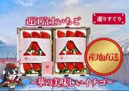 『近江富士いちご』選りすぐり！華の美味しいイチゴ【9~15粒2トレイ】