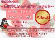 先行予約『近江富士いちご』選りすぐり！華の嬉しいイチゴ＆ジャムギフト【イチゴ9~15粒1トレイ＆ジャム2瓶】