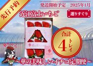 先行予約『近江富士いちご』選りすぐり！華の美味しいイチゴ定期便【9~15粒1トレイ×4回】