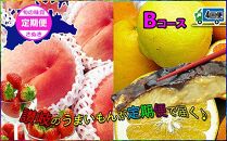 坂出産のフルーツとさぬきの特産品の定期便4回【Bコース】