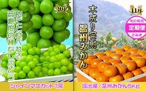 坂出産のフルーツとさぬきの特産品の定期便4回【Cコース】