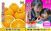 坂出産のフルーツとさぬきの特産品の定期便5回【Aコース】