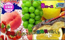 坂出産のフルーツとさぬきの特産品の定期便5回【Bコース】