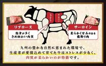 【数量限定】九州産黒毛和牛ロースステーキ食べ比べセット