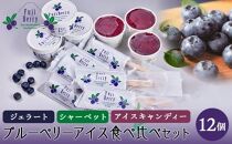 【2023年1月以降発送】Fuji Berry ブルーベリーアイス食べ比べセット