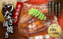うなぎ蒲焼き2尾入り 430g～480g（蒲焼たれ4袋 山椒付き）［KS5］