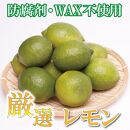 ＜9月より発送＞厳選 黒潮レモン3.5kg+105g（傷み補償分）【和歌山有田産】【防腐剤・WAX不使用、安心の国産レモン】