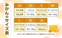 和歌山県産 糖度 12.5度以上 訳あり みかん 3kg 3Ｓ～Ｌサイズ混合【NY4】