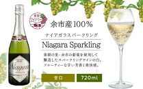 北海道 ワイン ナイアガラスパークリング 720ml＜余市ワイン＞【ポイント交換専用】