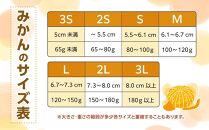 和歌山県産 糖度 12.5度以上 訳あり みかん 3kg 3Ｓ～Ｌサイズ混合【MG56】