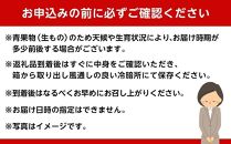 和歌山県産&nbsp;糖度&nbsp;9.5度以上&nbsp;訳あり&nbsp;みかん&nbsp;7kg&nbsp;傷み補償+200g&nbsp;3S&nbsp;～&nbsp;2Lサイズ混合［MG58］