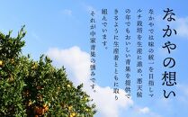 和歌山県産&nbsp;糖度&nbsp;12.5度以上&nbsp;訳あり&nbsp;みかん&nbsp;3kg&nbsp;3S&nbsp;～&nbsp;Lサイズ混合［MG56］