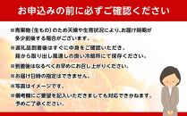 和歌山県産 糖度12.5度 以上 訳ありみかん5kg 3S ～L サイズ混合【MG57】