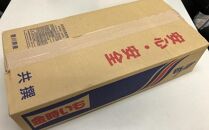 ＜2026年8月下旬以降発送・先行予約＞【訳あり】坂出金時いも　約5kg×2箱　2L～Mサイズ&nbsp;|&nbsp;さつまいも&nbsp;芋&nbsp;サツマイモ&nbsp;いも&nbsp;坂出金時いも&nbsp;金時いも&nbsp;金時&nbsp;焼き芋&nbsp;訳アリ&nbsp;訳あり&nbsp;ホクホク&nbsp;ホクホク系&nbsp;先行予約&nbsp;人気&nbsp;おすすめ&nbsp;香川県&nbsp;坂出市