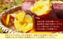 ＜2026年8月下旬以降発送・先行予約＞【訳あり】坂出金時いも　約5kg×2箱　2L～Mサイズ&nbsp;|&nbsp;さつまいも&nbsp;芋&nbsp;サツマイモ&nbsp;いも&nbsp;坂出金時いも&nbsp;金時いも&nbsp;金時&nbsp;焼き芋&nbsp;訳アリ&nbsp;訳あり&nbsp;ホクホク&nbsp;ホクホク系&nbsp;先行予約&nbsp;人気&nbsp;おすすめ&nbsp;香川県&nbsp;坂出市