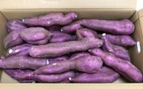 ＜2026年8月下旬以降発送・先行予約＞【訳あり】坂出金時いも　約5kg×2箱　2L～Mサイズ&nbsp;|&nbsp;さつまいも&nbsp;芋&nbsp;サツマイモ&nbsp;いも&nbsp;坂出金時いも&nbsp;金時いも&nbsp;金時&nbsp;焼き芋&nbsp;訳アリ&nbsp;訳あり&nbsp;ホクホク&nbsp;ホクホク系&nbsp;先行予約&nbsp;人気&nbsp;おすすめ&nbsp;香川県&nbsp;坂出市