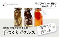 【由布院 草庵秋桜 四季工房】手づくりピクルス 食べ比べ3本セット