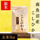 【令和8年産&nbsp;新米予約】南魚沼産コシヒカリ（玄米）【5kg】【銘柄米&nbsp;ブランド米&nbsp;玄米&nbsp;こしひかり&nbsp;コシヒカリ&nbsp;魚沼産&nbsp;新潟米&nbsp;産地直送&nbsp;お米&nbsp;米&nbsp;こめ&nbsp;コメ&nbsp;ご飯&nbsp;御飯&nbsp;ごはん】【2026年10月上旬から1ヶ月以内に順次発送予定】