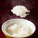【予約】【令和6年産 新米】南魚沼産コシヒカリ（玄米）【5kg×2袋】新潟県 特A地区の美味しいお米。