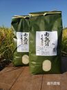 【令和8年産新米予約】【お米定期便/全１２回】南魚沼産コシヒカリ　白米１０ｋｇ（５ｋｇ×２）【2026年10月中旬から1ヶ月以内に順次発送予定】