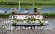 【新米予約】令和6年産 おかずのいらない 魚沼産コシヒカリ　白米５ｋｇ