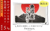 【新米予約】 令和６年 おかずのいらない 魚沼産コシヒカリ　無洗米５ｋｇ