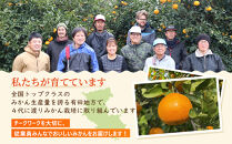 ［先行予約］プレミアム&nbsp;有田みかん10kg+250g（傷み補償分）［2026年10月初旬から2026年1月末日頃順次発送予定］［IKE249］