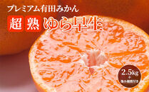 ［先行予約］プレミアム&nbsp;有田みかん2.5kg+250g（傷み補償分）［2026年10月初旬から2026年1月末日頃順次発送予定］［IKE251］