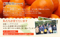 ［先行予約］家庭用&nbsp;有田みかん10kg+250g（傷み補償分）［2026年10月初旬から2027年1月末日頃順次発送予定］［IKE314］