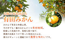 ［先行予約］家庭用&nbsp;小さな有田みかん2.5kg+250g（傷み補償分）［2026年10月初旬から2027年1月末日頃順次発送予定］［IKE246］