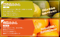 ［先行予約］家庭用&nbsp;小さな有田みかん2.5kg+250g（傷み補償分）［2026年10月初旬から2027年1月末日頃順次発送予定］［IKE246］