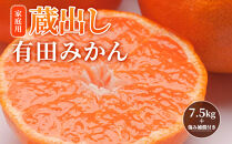 ［先行予約］家庭用&nbsp;蔵出しみかん7.5kg+250g（傷み補償分）［2027年1月中旬から2027年2月末日頃、順次発送予定］［IKE241］