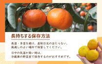 ［先行予約］家庭用&nbsp;蔵出しみかん7.5kg+250g（傷み補償分）［2027年1月中旬から2027年2月末日頃、順次発送予定］［IKE241］