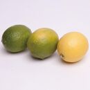 レモン2.5kg+250g（傷み補償分）【和歌山有田産】【防腐剤・WAX不使用、安心の国産レモン】［IKE127］