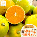 《先行予約・2026年10月～発送》ご家庭用ゆら早生&nbsp;有田みかん&nbsp;３kg［訳あり］［MS26］