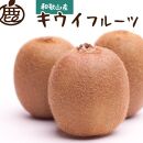 ［先行予約］厳選&nbsp;キウイ1kg+250g（傷み補償分）【扁平果】［IKE106］