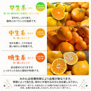 ［先行予約］ご家庭用&nbsp;完熟&nbsp;有田みかん&nbsp;3kg［2026年11月発送予定］訳あり&nbsp;農家直送［MS3-1］