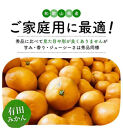 ［先行予約］ご家庭用&nbsp;完熟&nbsp;有田みかん&nbsp;3kg［2026年11月発送予定］訳あり&nbsp;農家直送［MS3-1］