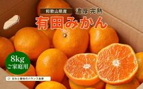 【先行予約】有田育ちのご家庭用 完熟有田みかん8kg【2024年11月上旬より発送】【訳あり】