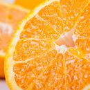 有田育ちの濃厚不知火(ご家庭用)&nbsp;約2.5kg［先行予約］［MS40］