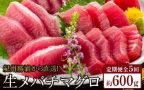 【定期便全5回】生まぐろの本場紀州勝浦から直送！　生メバチマグロ 約600g（1カ月に1回お届け）（全5ヵ月）