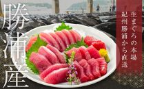 【定期便全5回】生まぐろの本場紀州勝浦から直送！　生メバチマグロ 約600g（1カ月に1回お届け）（全5ヵ月）